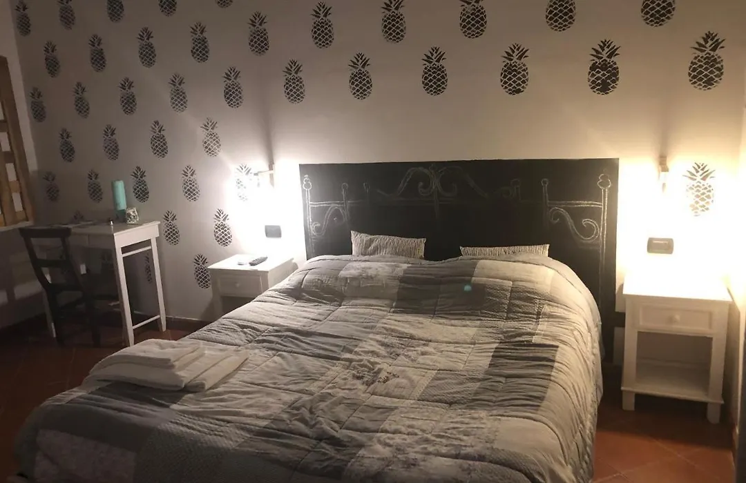 b&b ocagiuliva-1